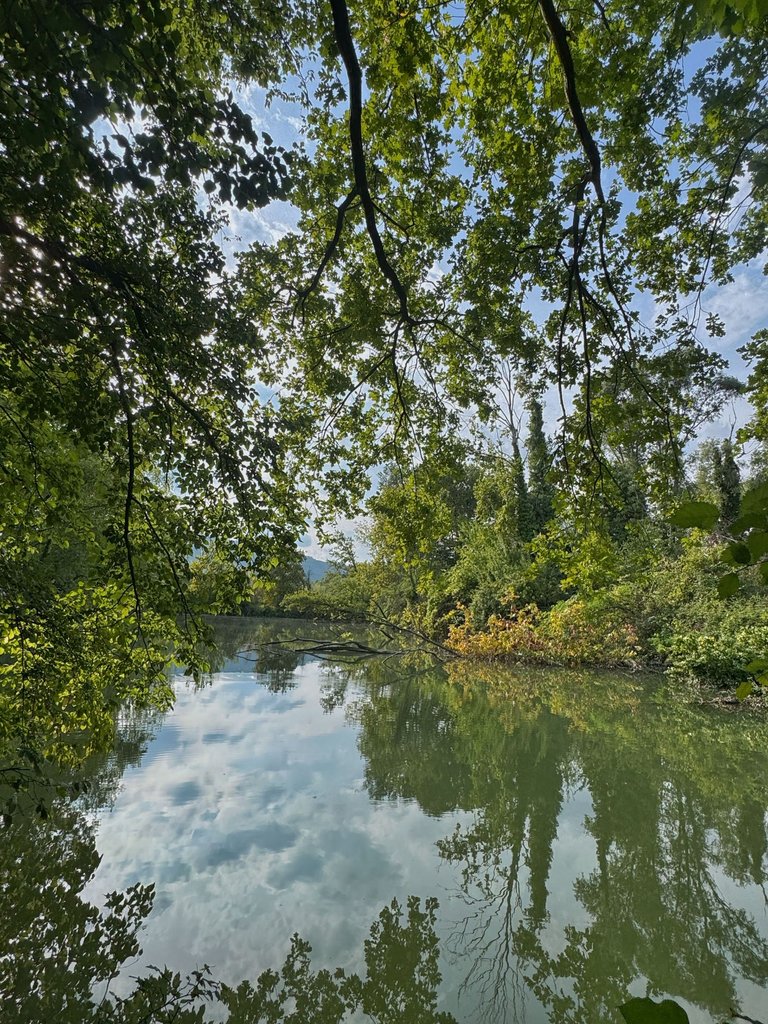 IMG_1561.jpg