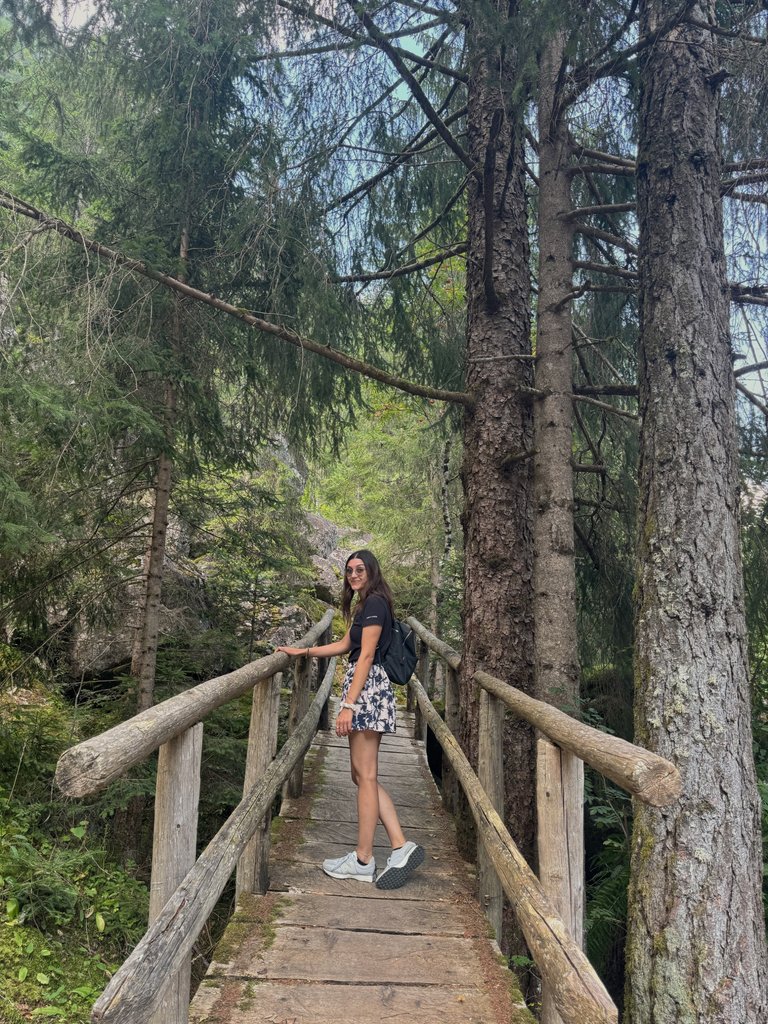 IMG_0972.jpeg