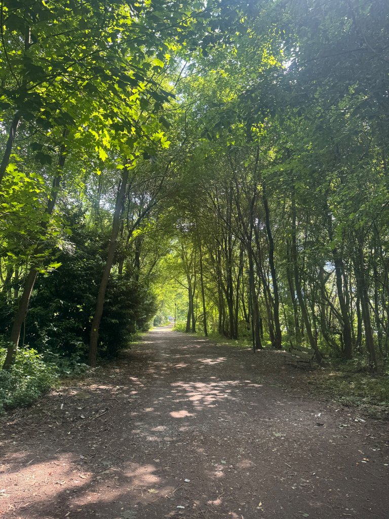 IMG_0042.jpeg