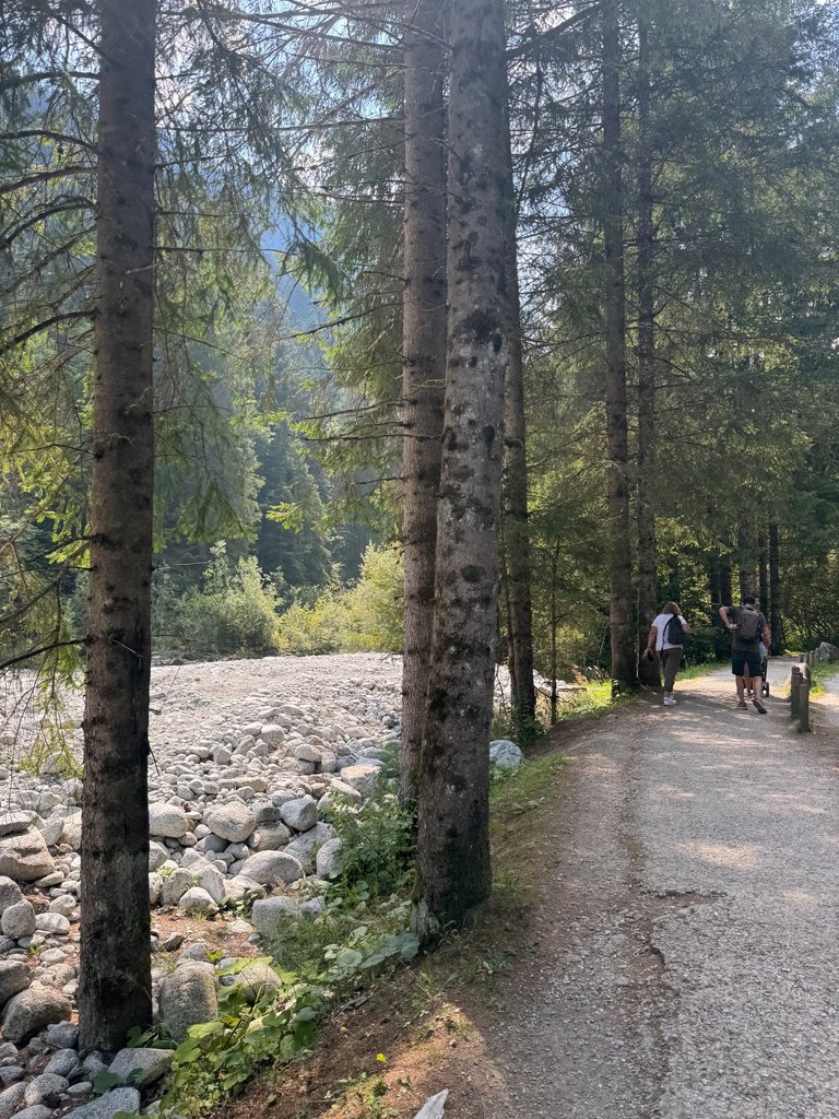 IMG_0981.jpeg