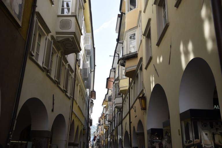 _DSC2117.jpeg