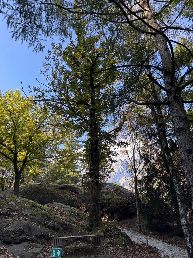 IMG_2547.jpeg