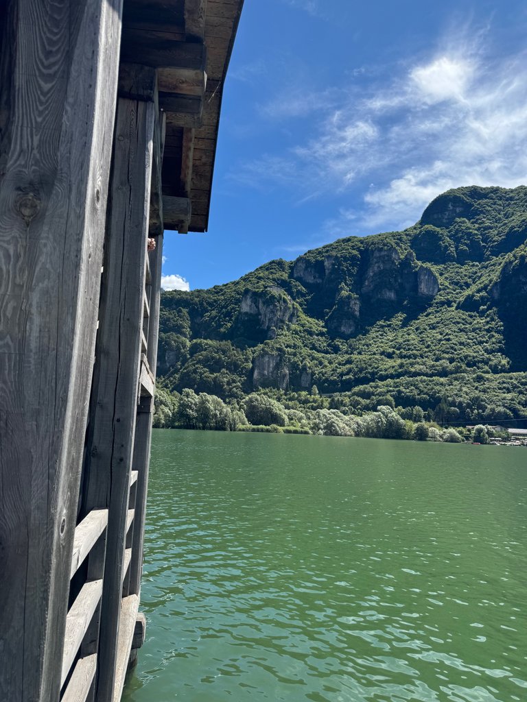 IMG_0411.jpeg