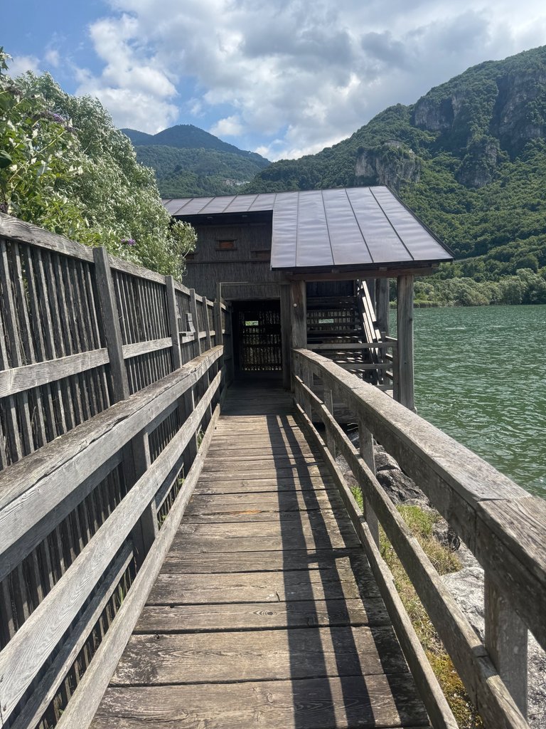 IMG_0067.jpeg