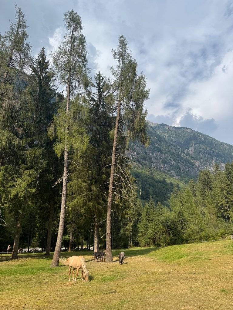 IMG_1053.jpeg