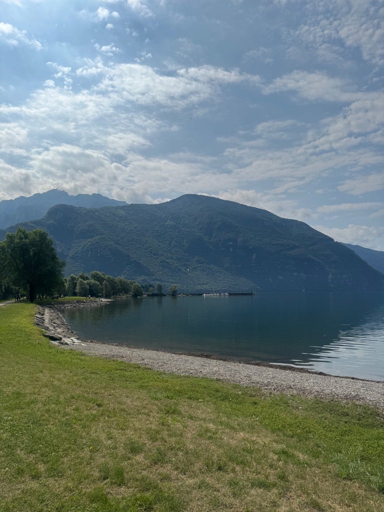 IMG_0041.jpeg