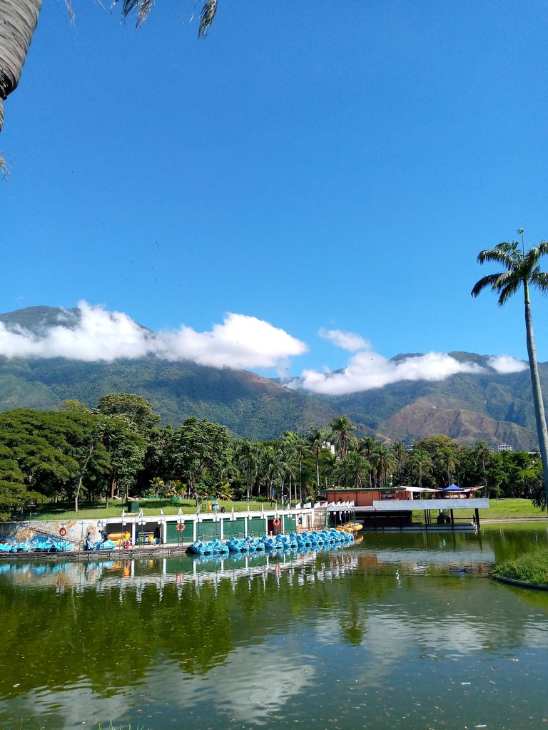 parque del Este y Avila.jpg