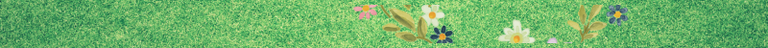 separadores naturaleza.png