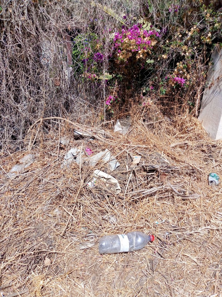 basura con flores secas.jpg