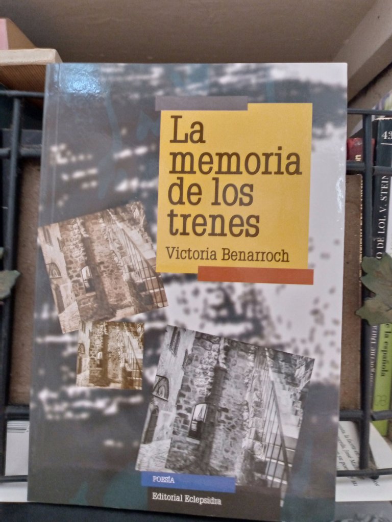 Portada La Memoria de los trenes .jpg