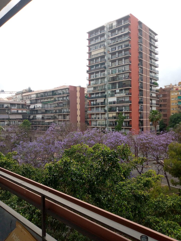 edificios frente casa Greta.jpg