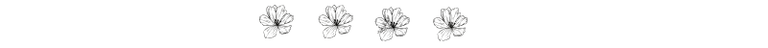 separador flores negras.png