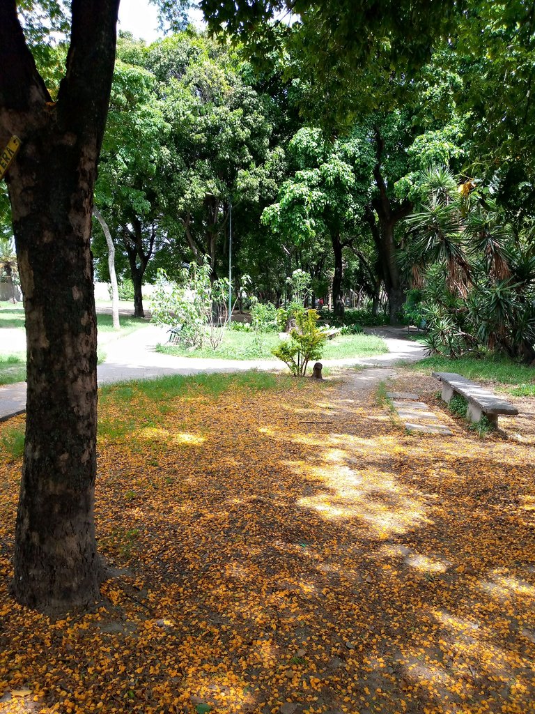 IMG_20230609_104440_170.jpg