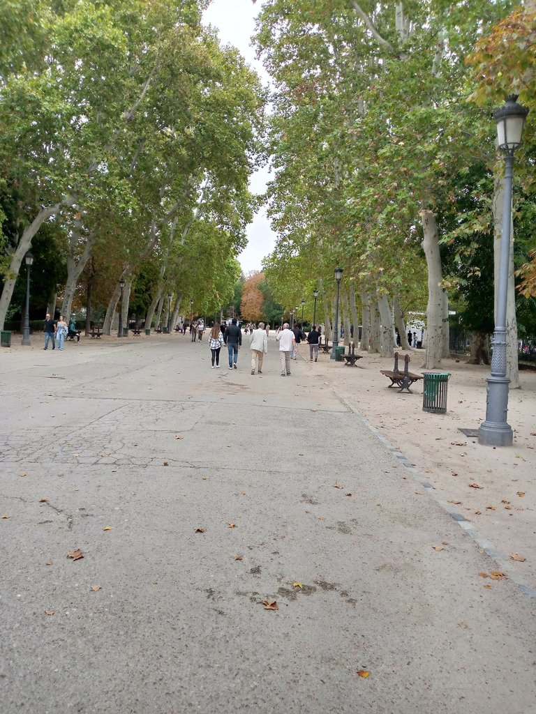 Madrid Parque El Retiro sendero árboles.jpg