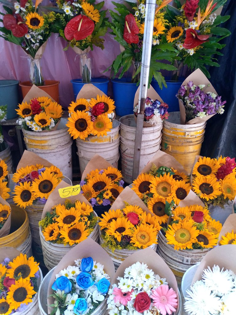 girasoles mercado Chacao.jpg