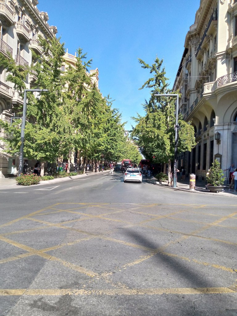 Granada calle arbolada.jpg