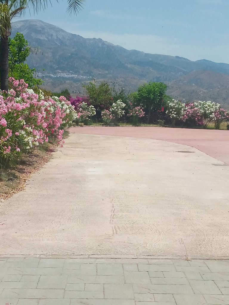 Karma Guen jardín 1.jpg