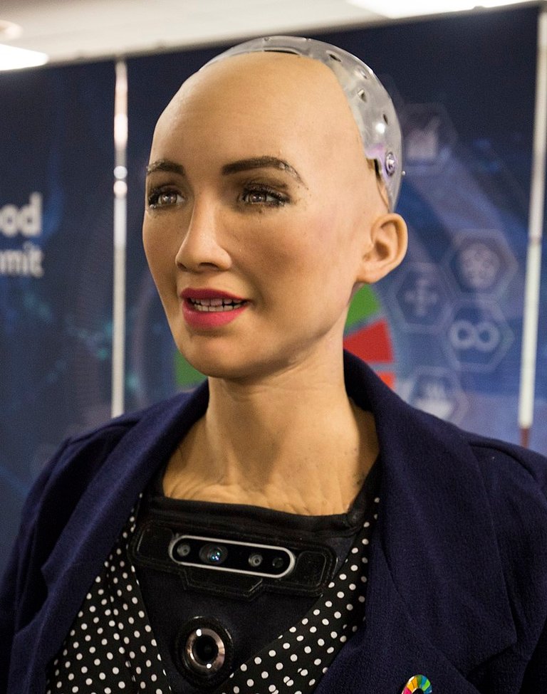 Sophia_at_the_AI_for_Good_Global_Summit_2018_(27254369347)_(cropped).jpg