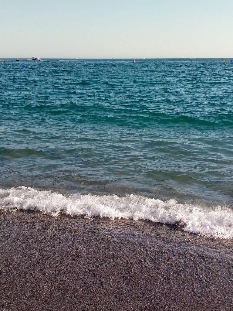 IMG_20250727_192213_602.jpg