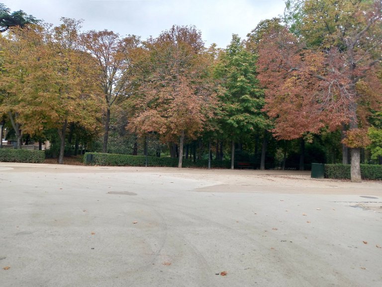 Madrid parque El Retiro árboles otoño.jpg