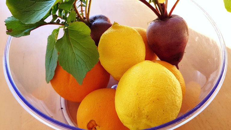 Today's Harvest: Oranges, Lemons & Radishes.