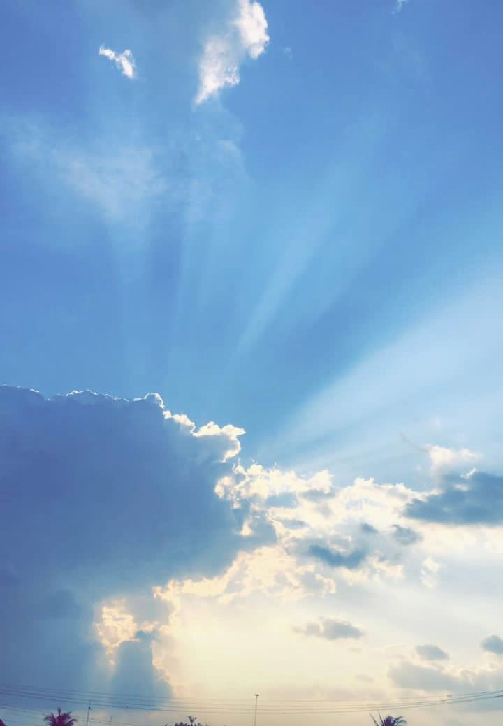 E21E66B4-5233-4ED8-AFB2-3A40DBB6B475.jpeg