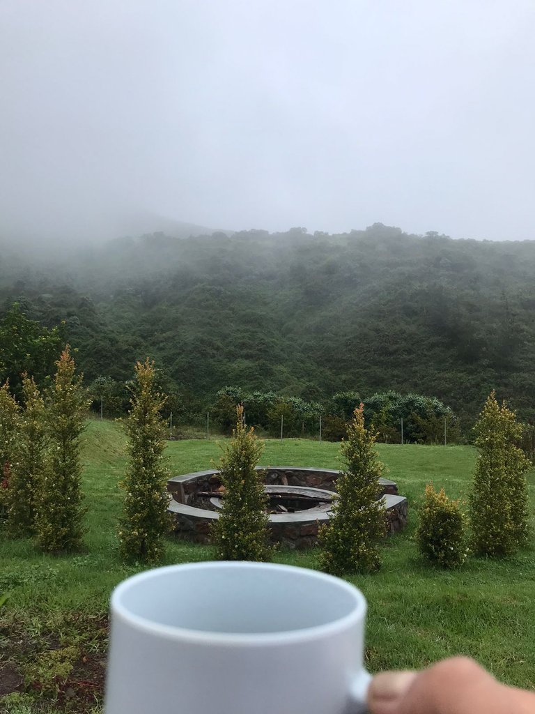 I love the mist in the mountains here, especially when hovering over trees. It gives me peace. That scenery and a fresh french press... Heaven.