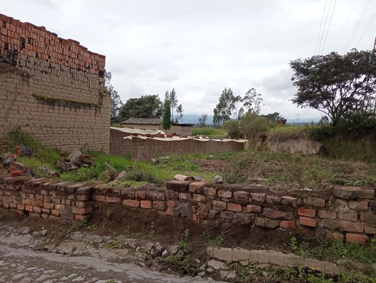 Brick burning oven on the left, drying mud-bricks in the middle. The local (Cotacachi, Ecuador) brick "industry" is very cyclical, as construction is not constant. Right now, there is way more construction then demand. Soon, there will be a downturn for the brick burner. I just wish they had the foresight to save up for the lean years.