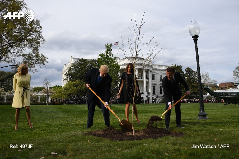 Image from https://x.com/AFP/status/988534360113582081 - Trump planting a Tree in front of the White House with Macron. The beginning of his green radicalization?