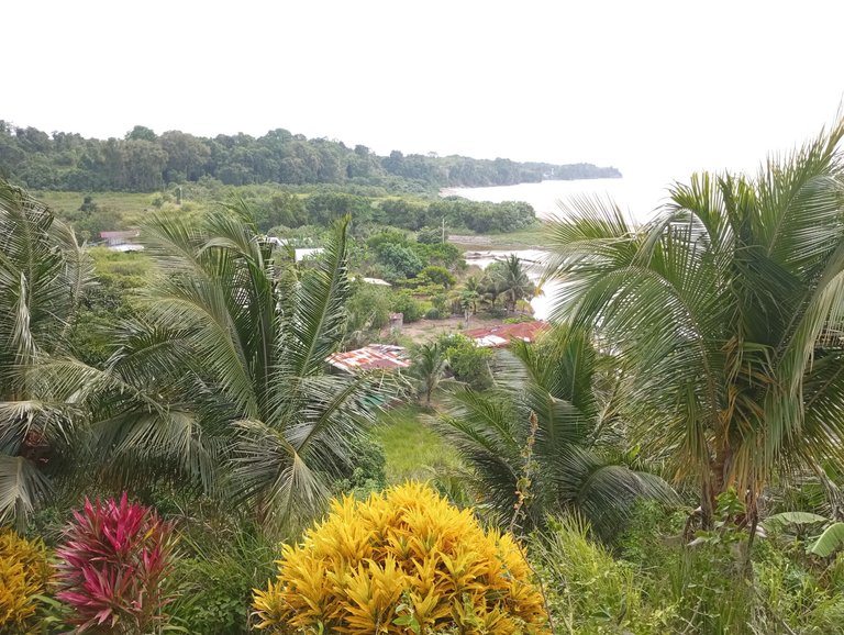 Coast feeling in #ecuador . Took me a few attempts to upload, though.