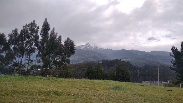 You see a field, I see grain to be harvested. You see trees, I see lumber to be sawed. You see mountains, I see quarries and mines to make me rich. In Splinterlands. I loathe RL-Mining companies and what they've done to this country.