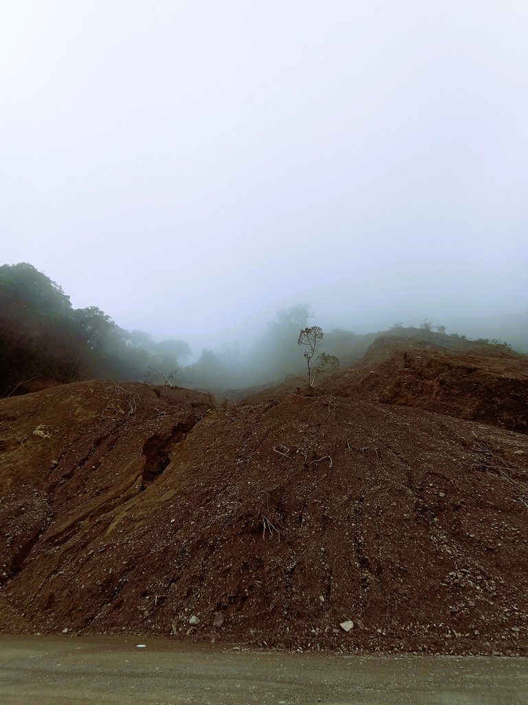 This one was a massive landslide. This is one half, taken from the road looking up...