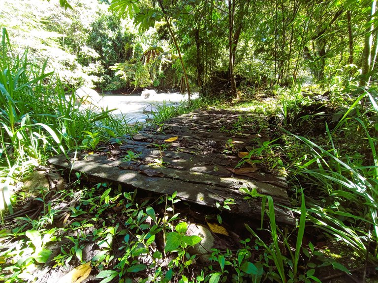 "Bridge next to troubled water"