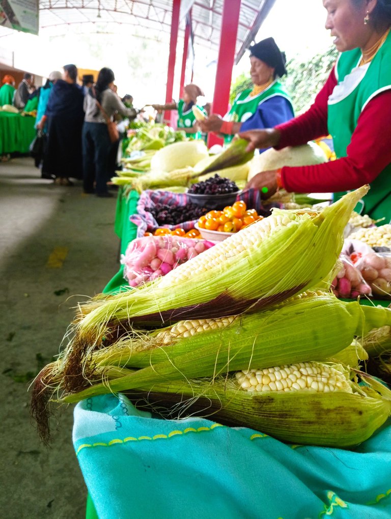 Corn, melloco (a kind of slimy potato), golden berries, black berries, chochos, squash, cauliflower, ... and that's just as far as I can see. You can get everything on the market.