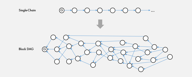 Taraxa chain.png