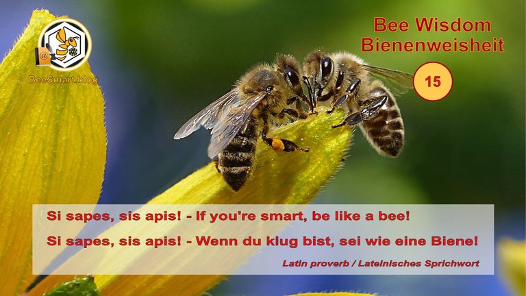 Bienenweisheiten015-Titelbild.jpg