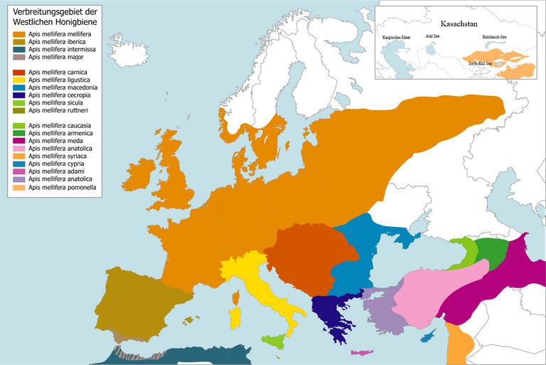 EU_Apis_Mellifera_L_Map.svg