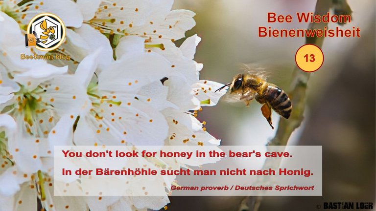 Bienenweisheiten013-Titelbild.jpg