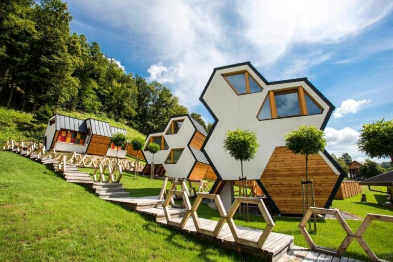 tinyhouse-honeycomb.jpg