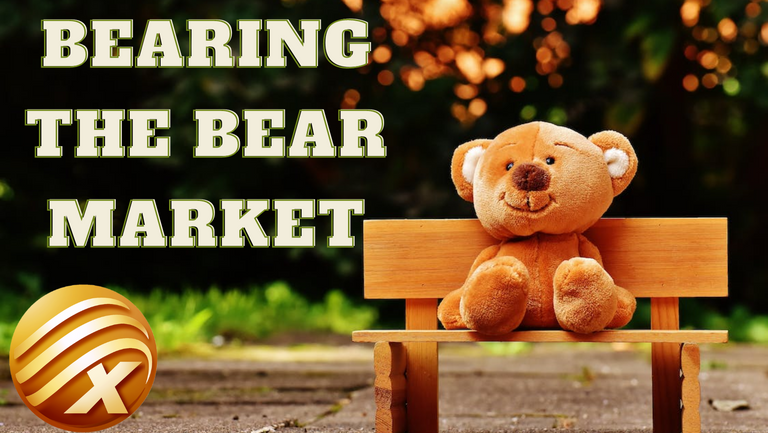 bearing the bear.png