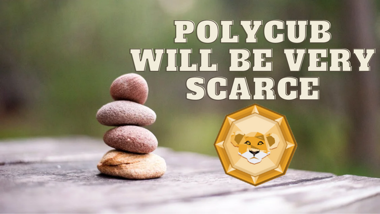 scarce polycub.png