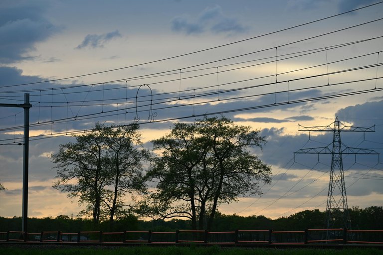 free-photo-of-power-lines-over-trees-in-countryside-at-sunset.jpeg