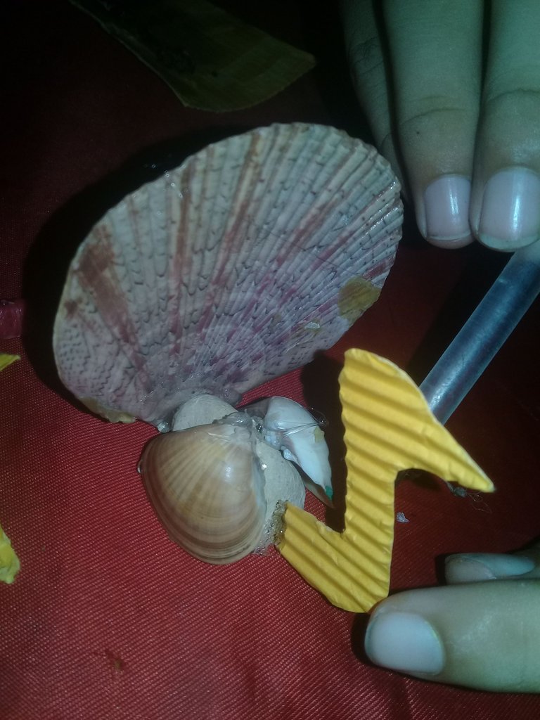 20210816_222631.jpg