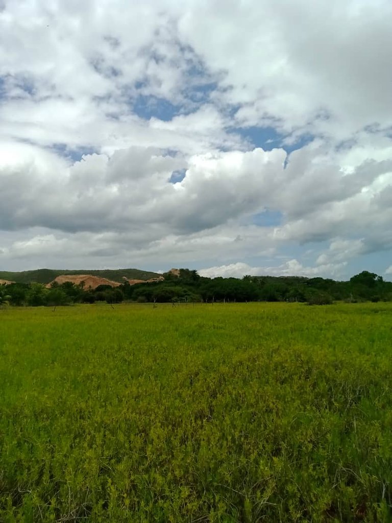 paseo cerro (21).jpeg