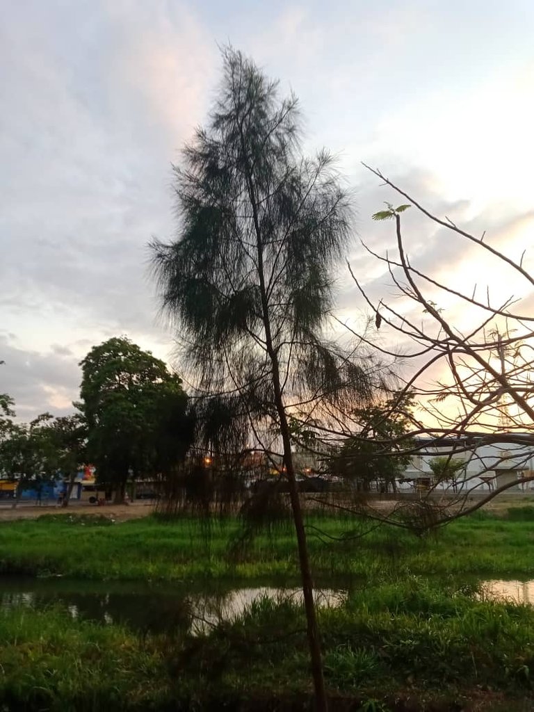 paseo vespertino parque ayacucho (15).jpeg