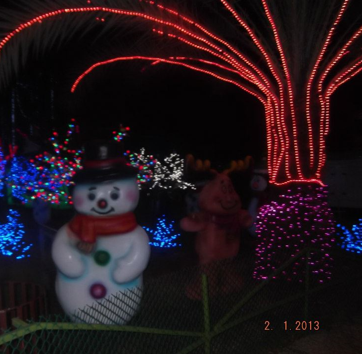 navidad san diego (9).png