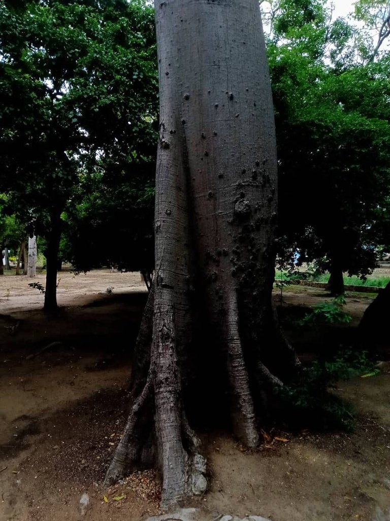 paseo guaiquerí (10).jpeg
