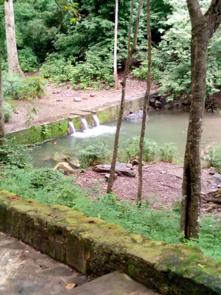 ppuerto (7).jpeg