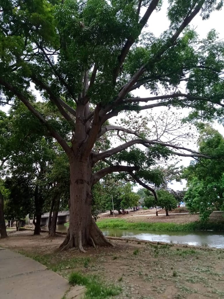 paseo guaiquerí (2).jpeg