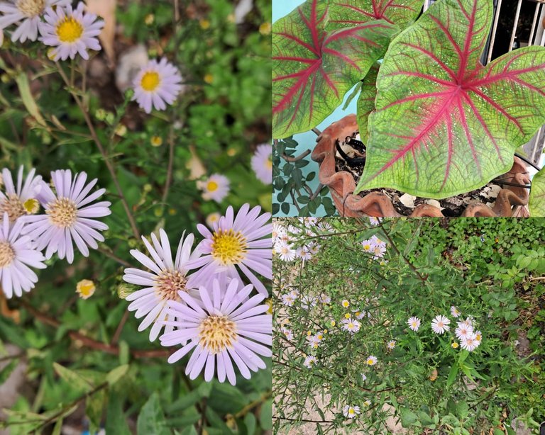 phonography (5).jpeg